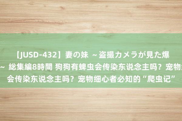 【JUSD-432】妻の妹 ～盗撮カメラが見た爆乳の妹を襲う男の遍歴～ 総集編8時間 狗狗有蜱虫会传染东说念主吗？宠物细心者必知的“爬虫记”
