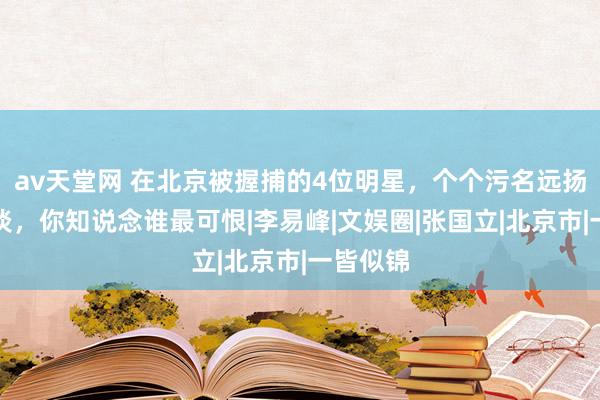av天堂网 在北京被握捕的4位明星，个个污名远扬星途惨淡，你知说念谁最可恨|李易峰|文娱圈|张国立|北京市|一皆似锦