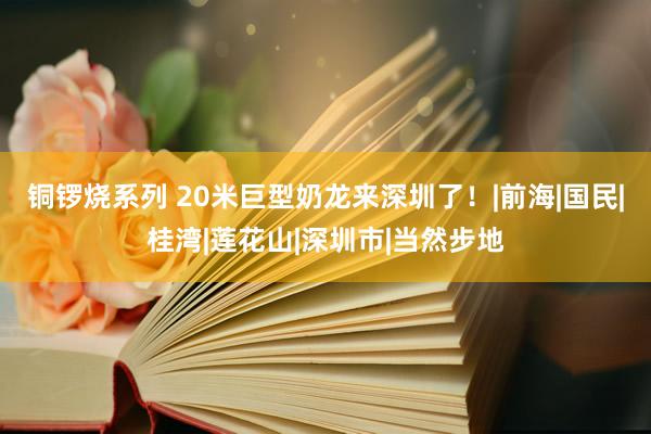 铜锣烧系列 20米巨型奶龙来深圳了！|前海|国民|桂湾|莲花山|深圳市|当然步地