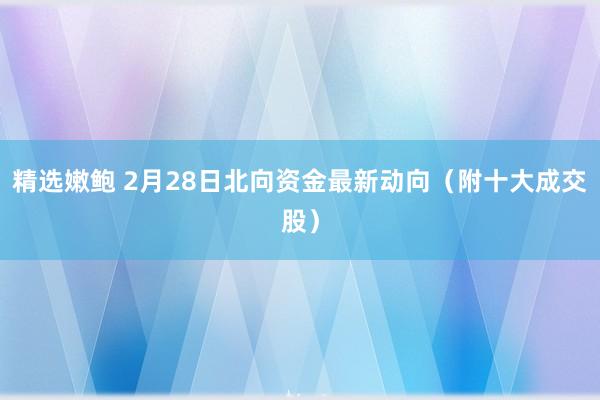 精选嫩鲍 2月28日北向资金最新动向（附十大成交股）