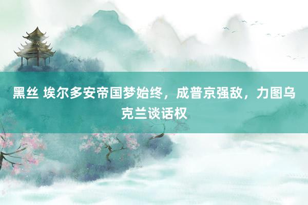 黑丝 埃尔多安帝国梦始终，成普京强敌，力图乌克兰谈话权