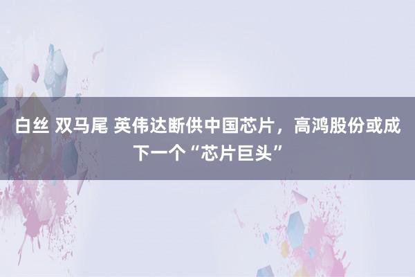 白丝 双马尾 英伟达断供中国芯片，高鸿股份或成下一个“芯片巨头”