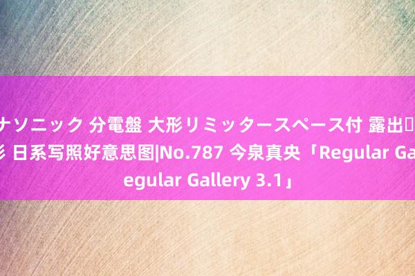 パナソニック 分電盤 大形リミッタースペース付 露出・半埋込両用形 日系写照好意思图|No.787 今泉真央「Regular Gallery 3.1」